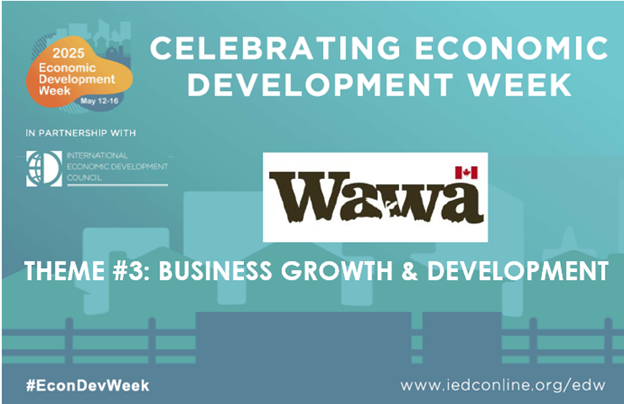 ED Week 3