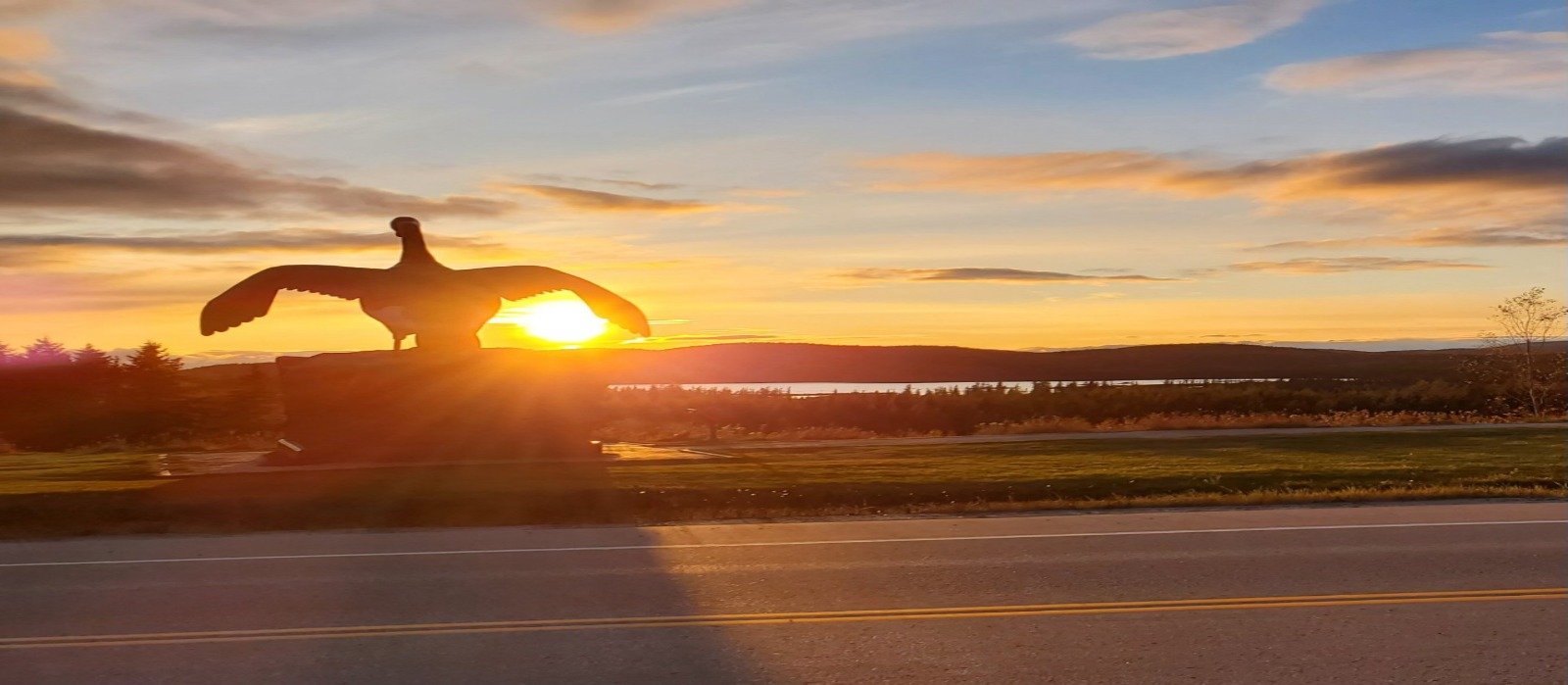Wawa Goose in the sunset