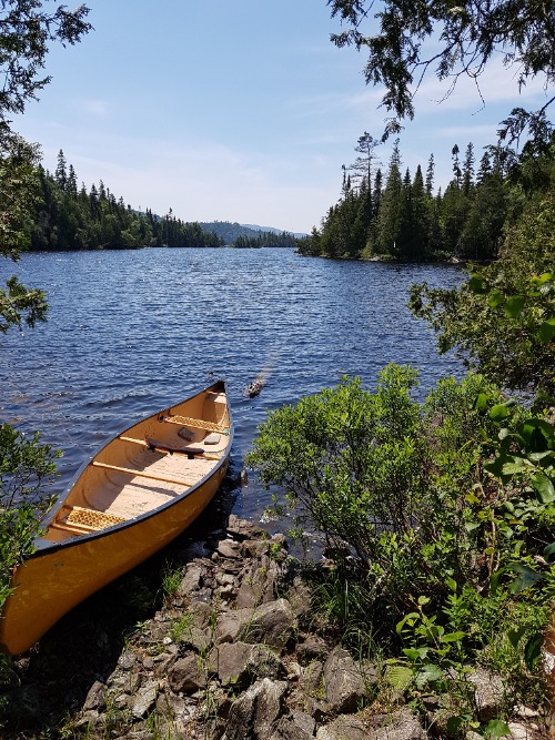 Canoe on the shoreline