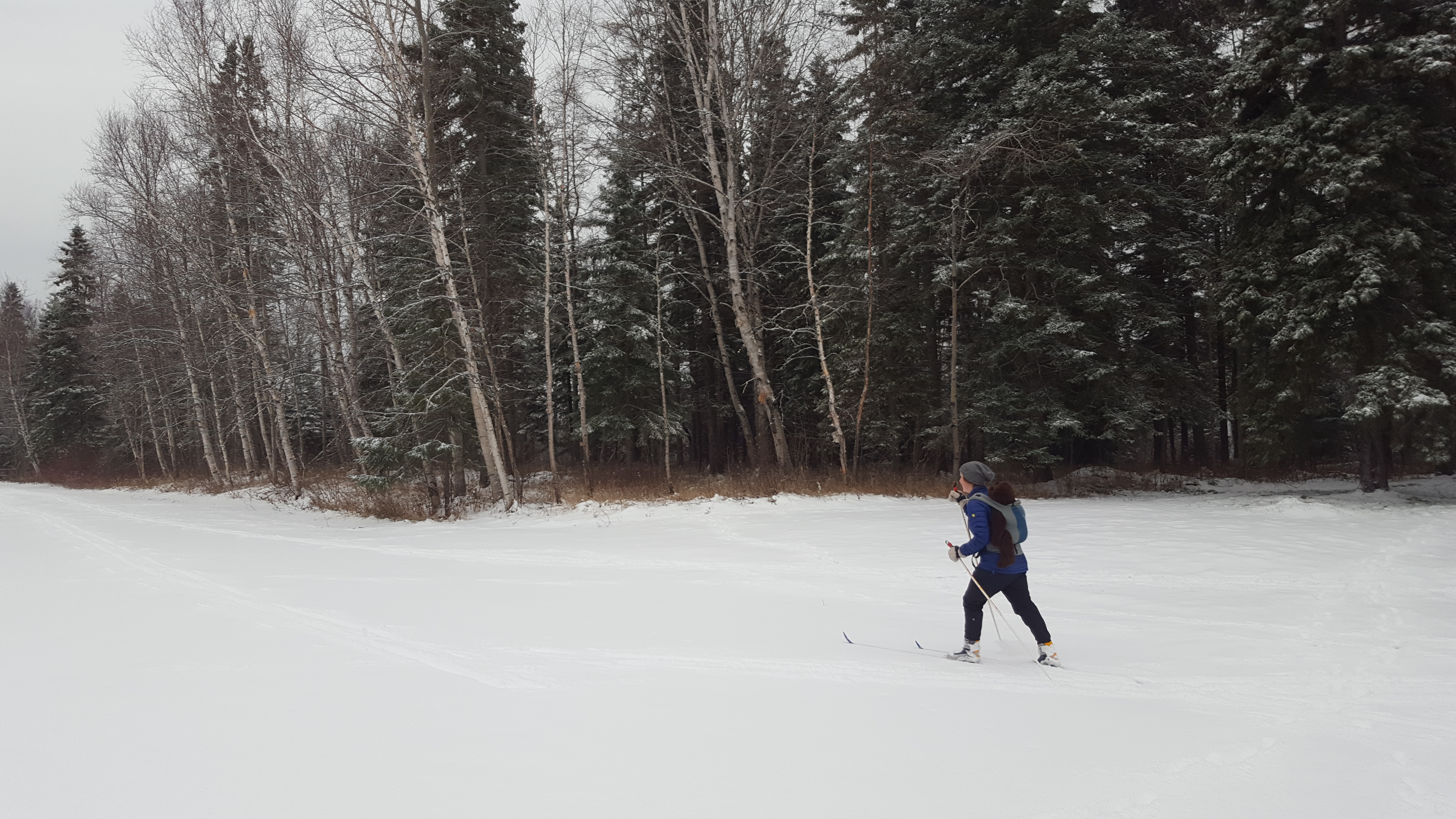 Lady Skiing