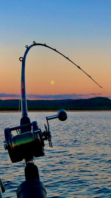 Salmon Fishing at sunset
