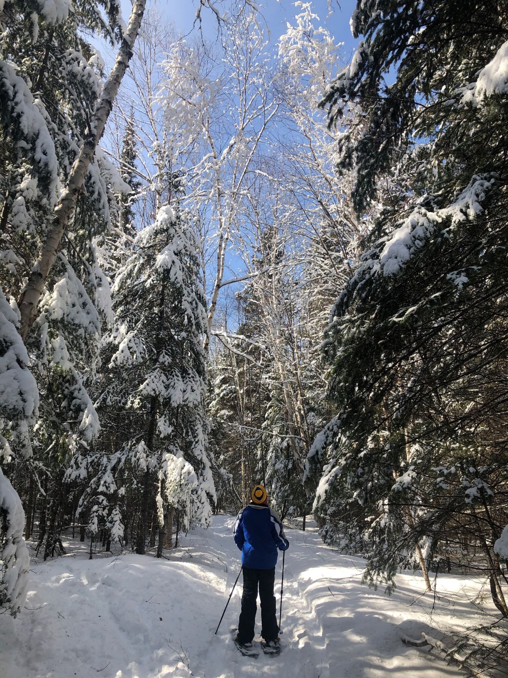 Winter snowshoeing