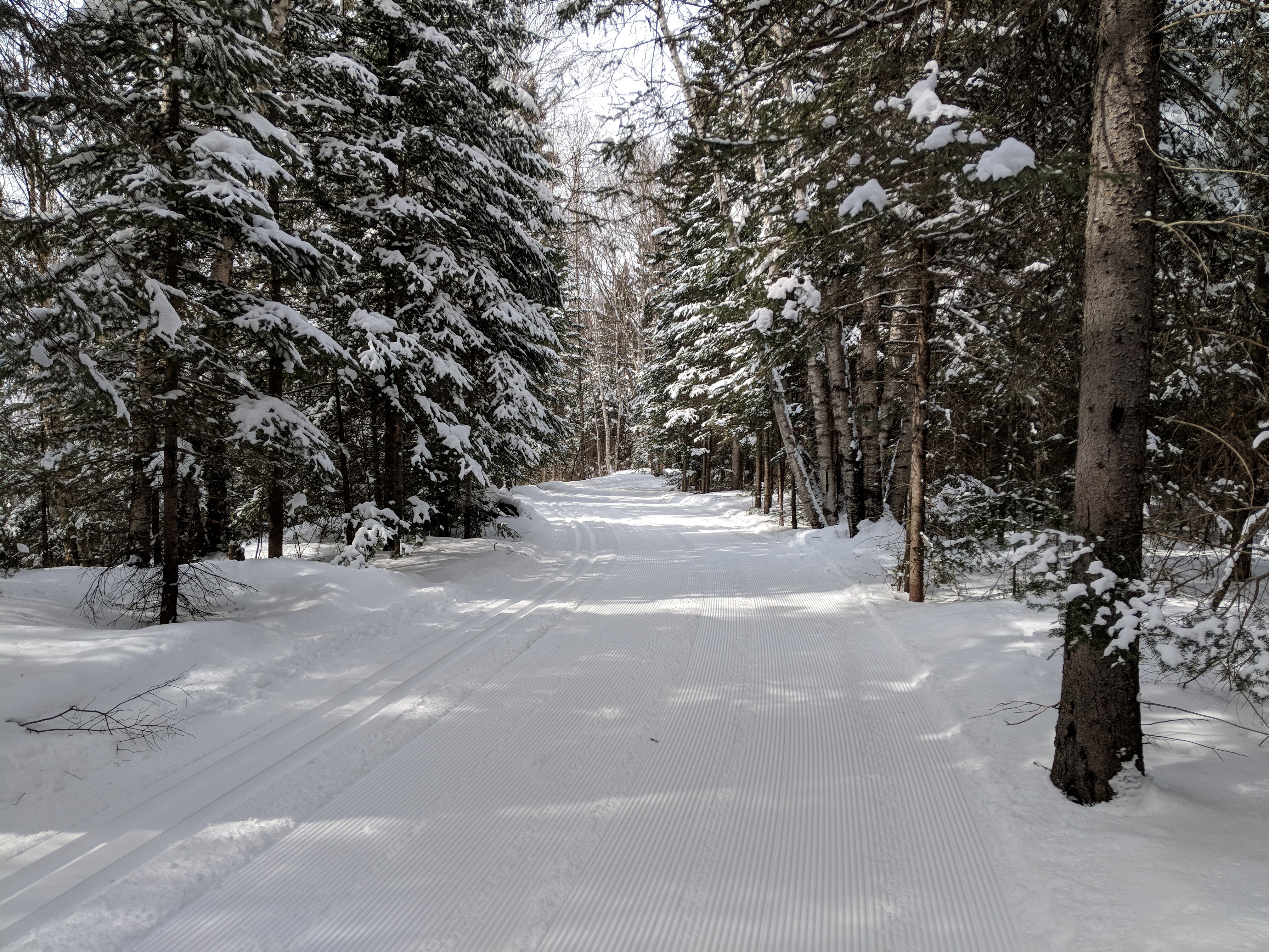 Ski trails