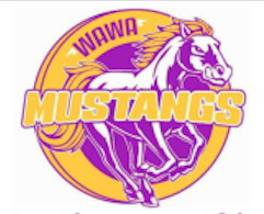 Mustangs Logo