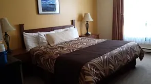Motel bed